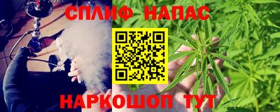 тгк Обь