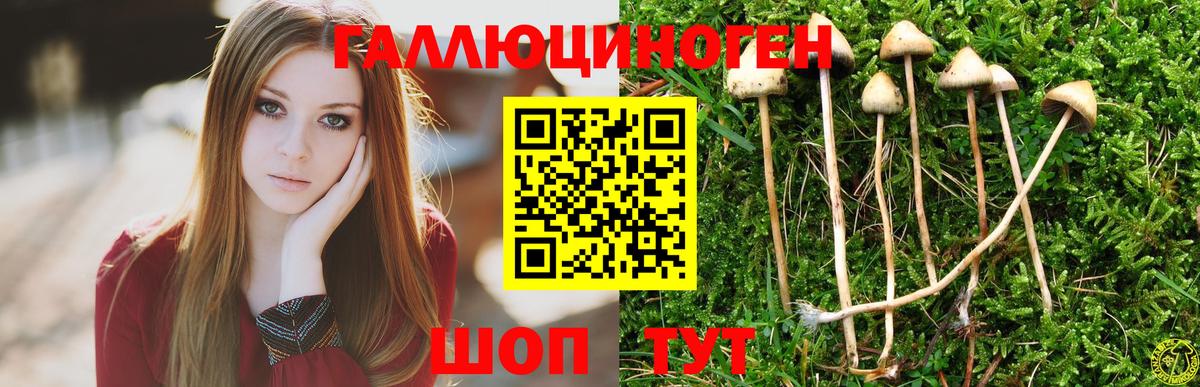 Саранск  Галлюциногенные грибы мицелий  Вход с VPN 